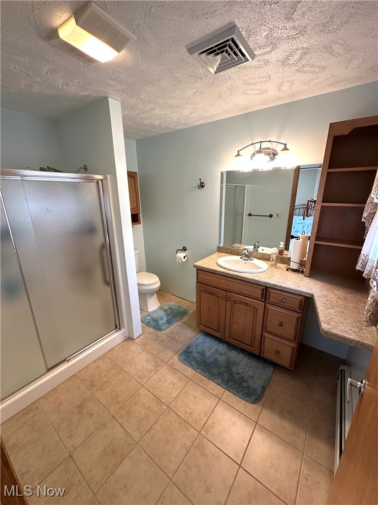 1684 Morris Street Mineral Ridge, OH 44440 - Photo 31 of 50 Bathroom featuring vanity, a textured ceiling, a stall shower, toilet, and tile patterned flooring