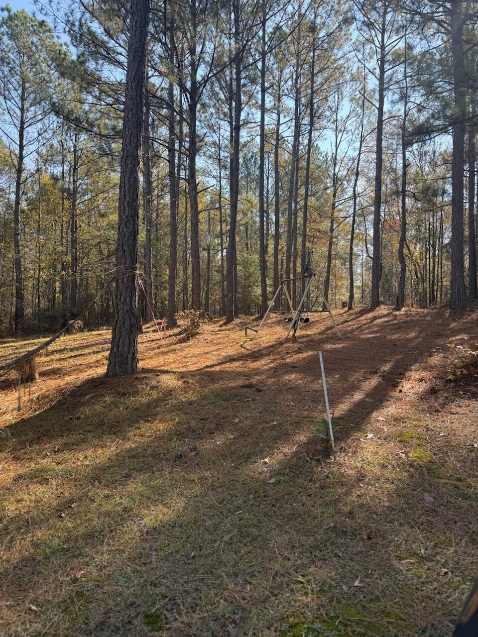 5584 Rosemont Drive Appling, GA 30802 - Photo 7 of 12 IMG_7443