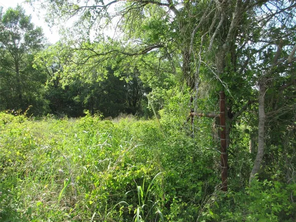 a view of a garden