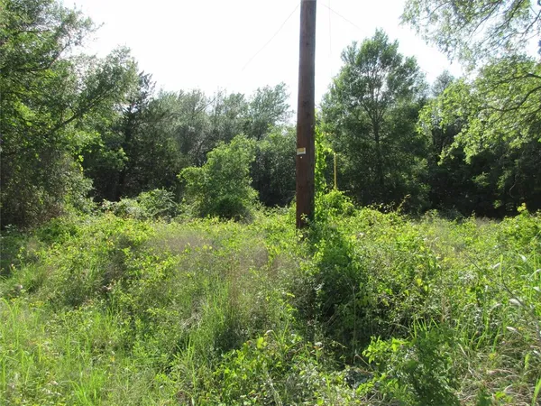 a view of a garden