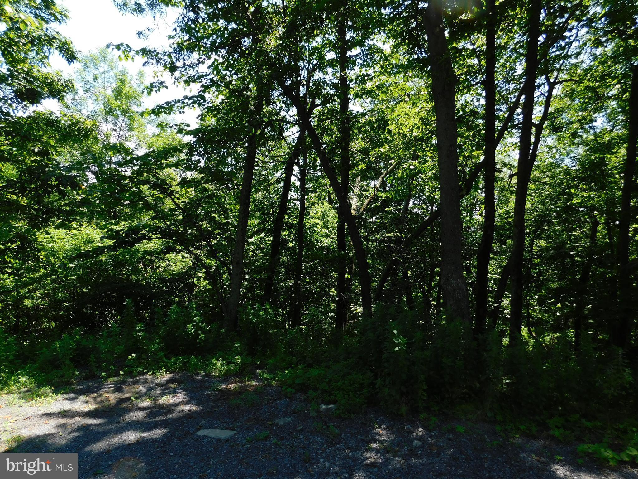0 Mountain Top Road Front Royal, VA 22630 - Photo 22 of 27 Community