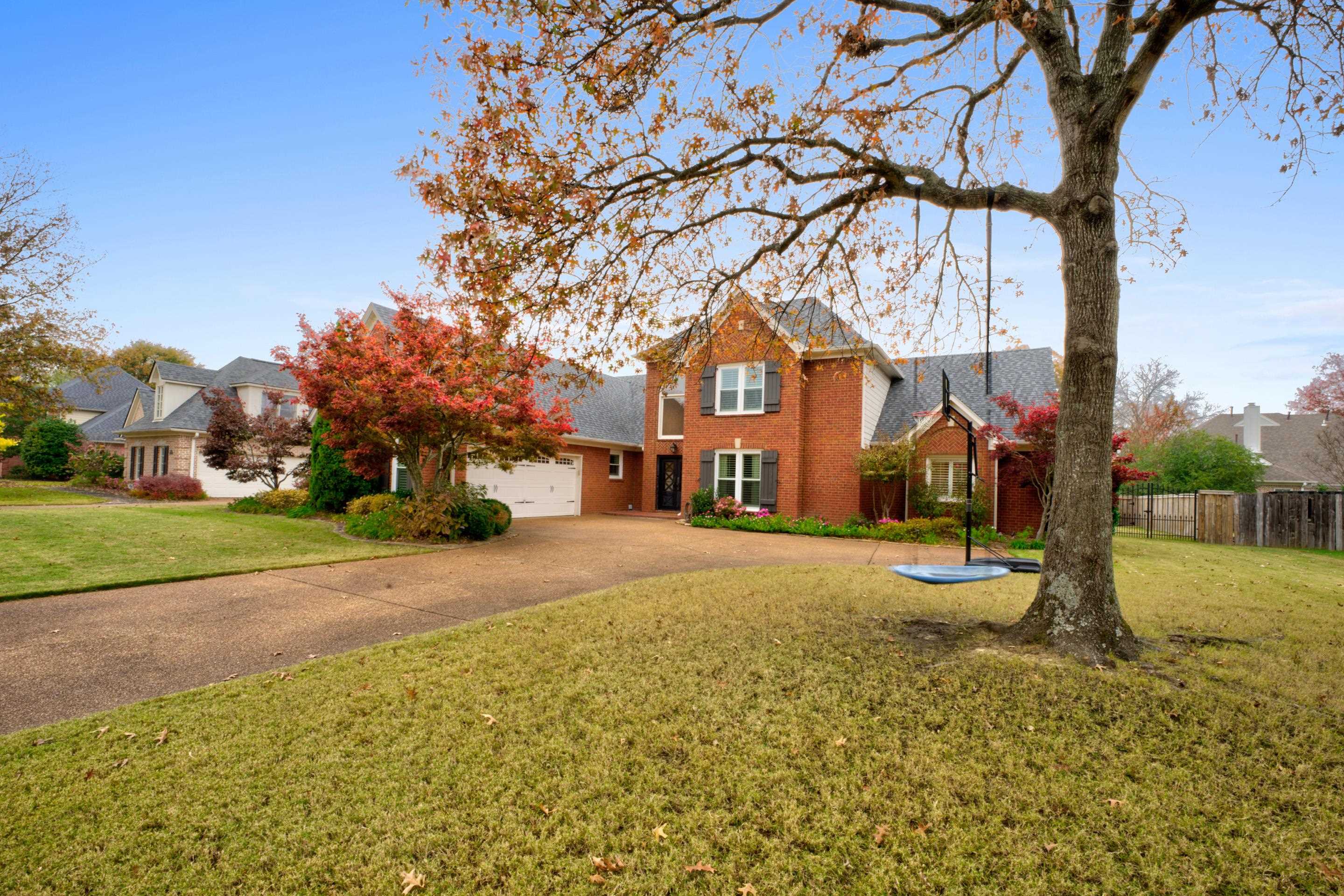 a view of a trees in front of a house with a big yard