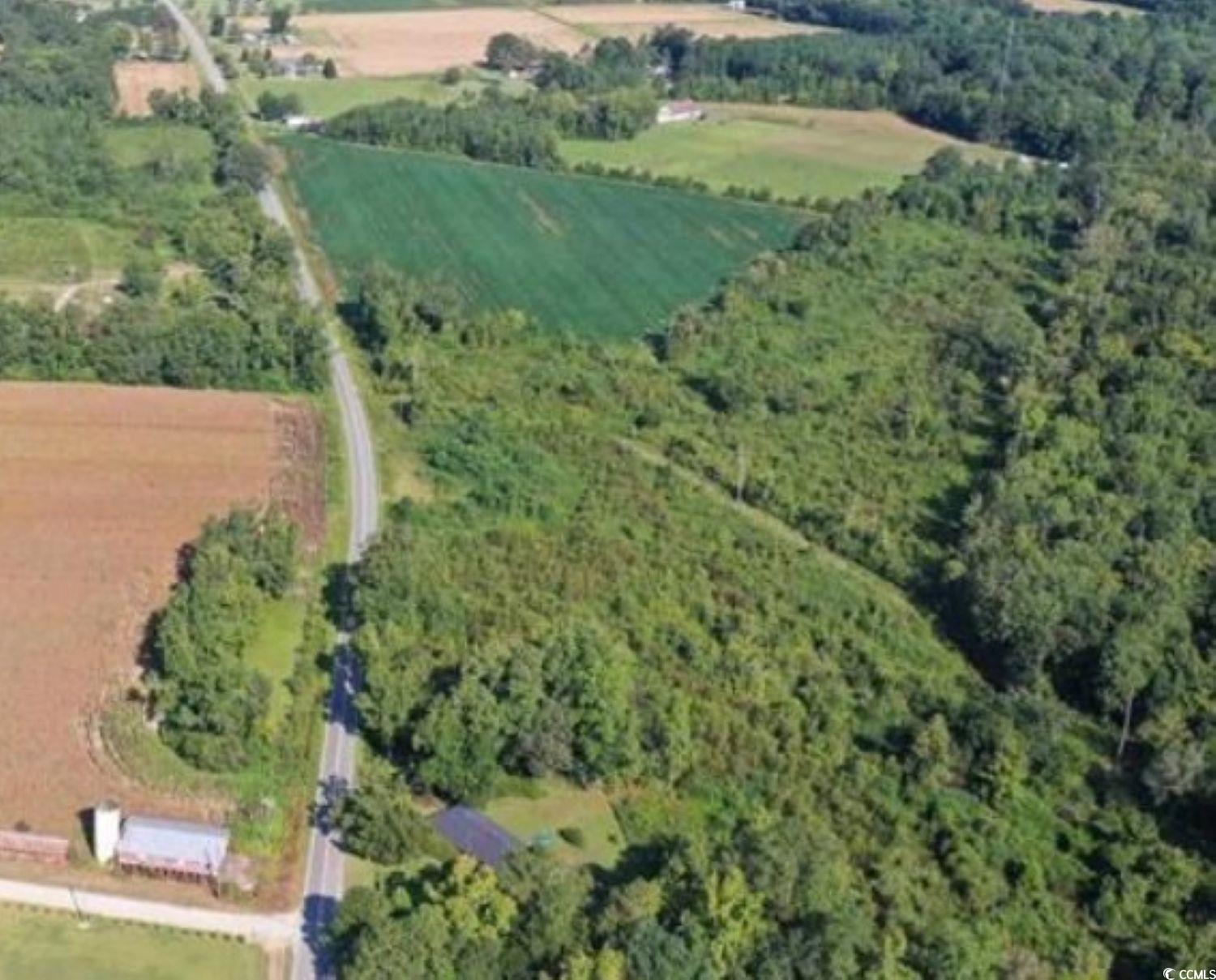 3 Borkowitz Road Scranton, SC 29591 - Photo 2 of 3