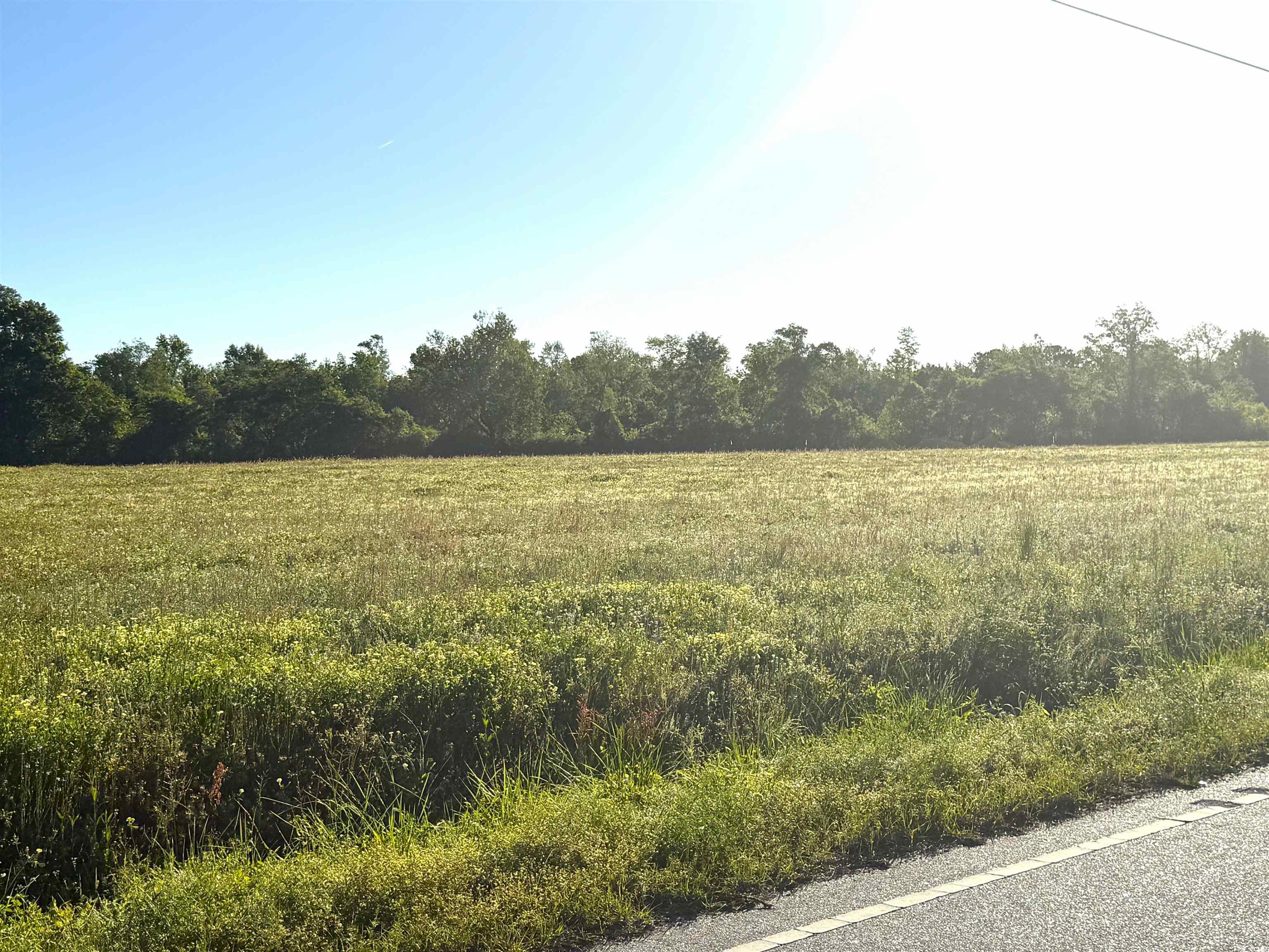 3 Borkowitz Road Scranton, SC 29591 - Photo 3 of 3