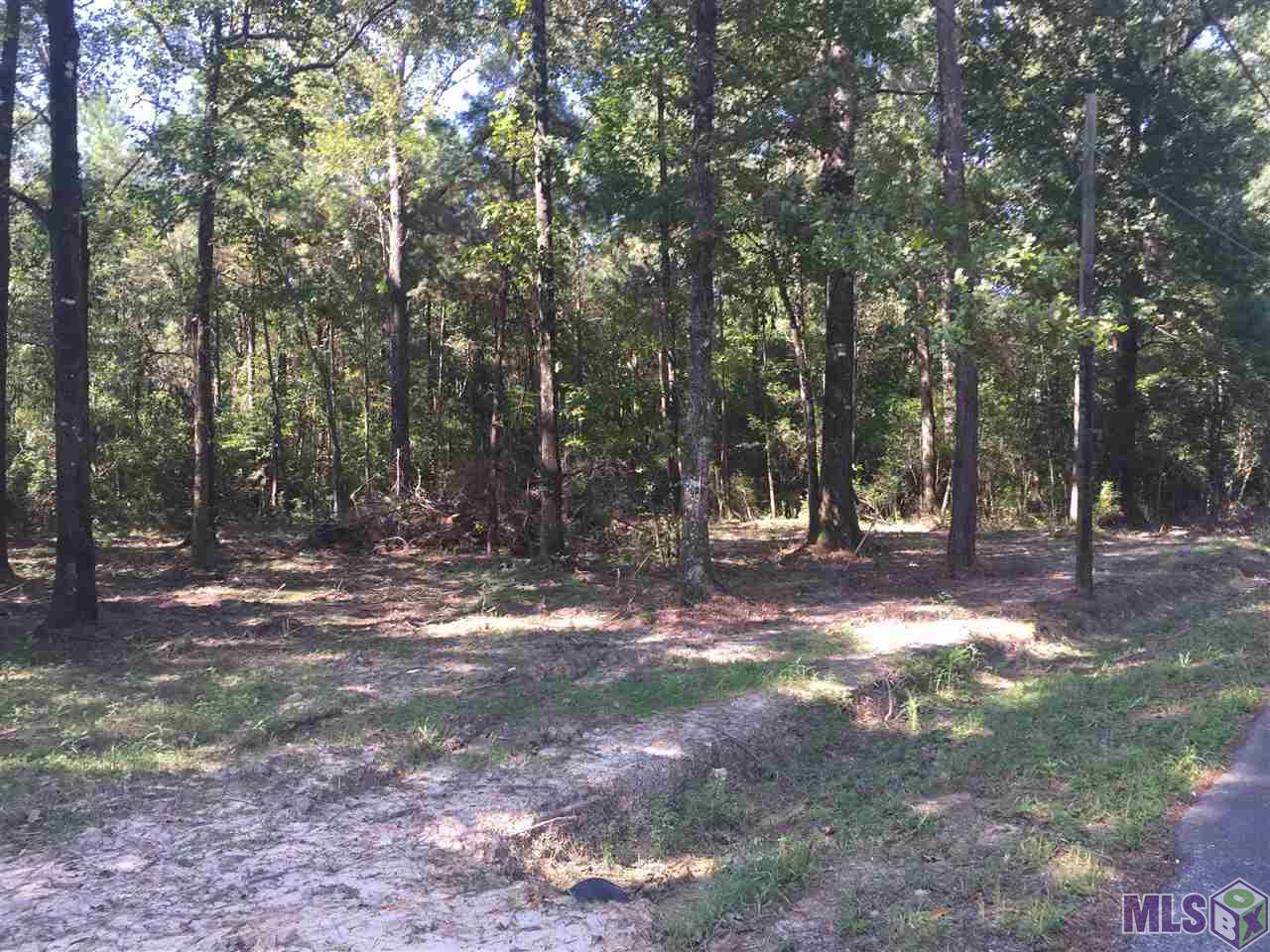 Tract A George White Road Springfield, LA 70462 - Photo 2 of 3