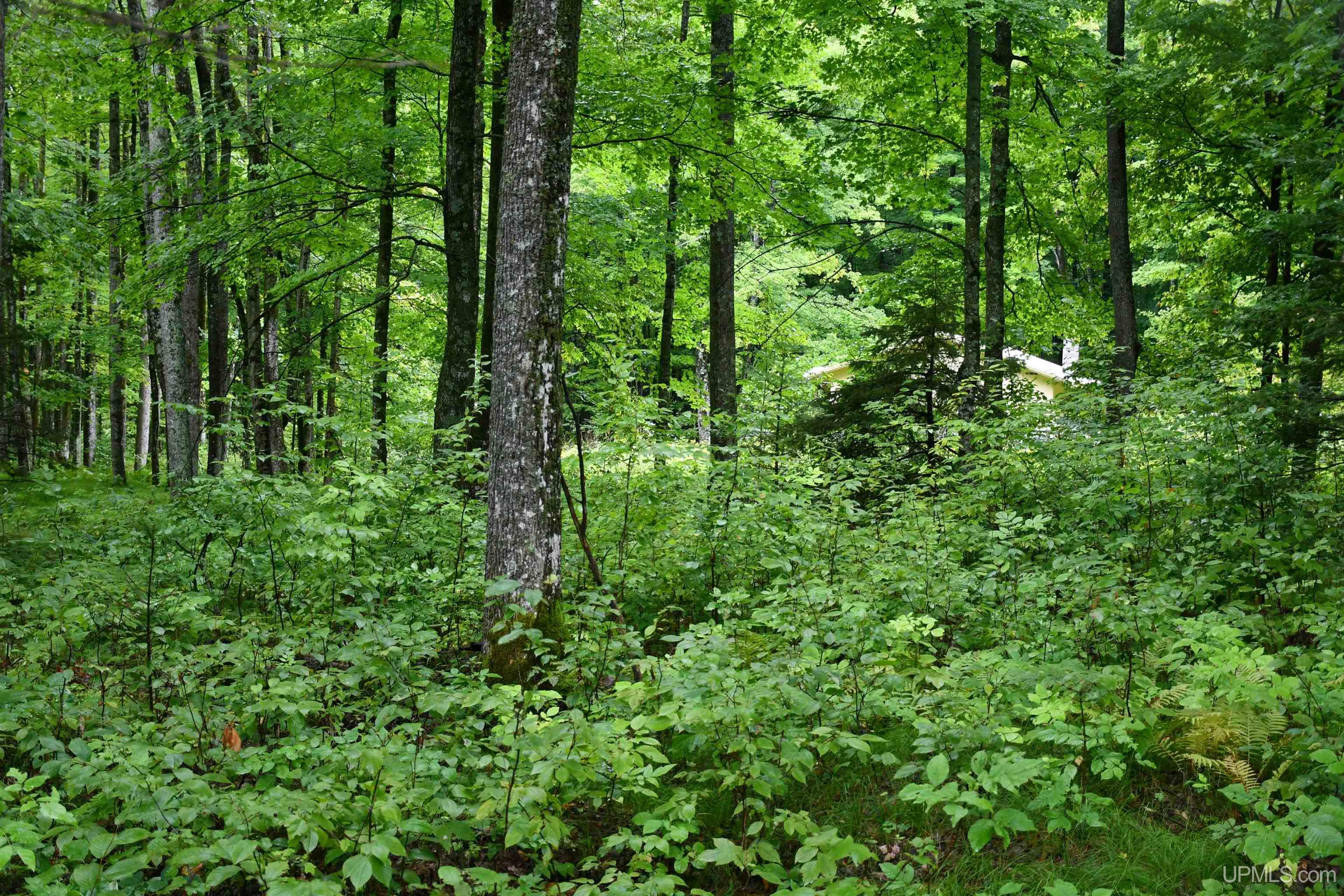 Tbd County Line Road Foster City, MI 49834 - Photo 35 of 56