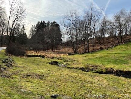 23 Painter Hill Road Roxbury, CT 06783 - Photo 24 of 26 a view of a pool with a yard