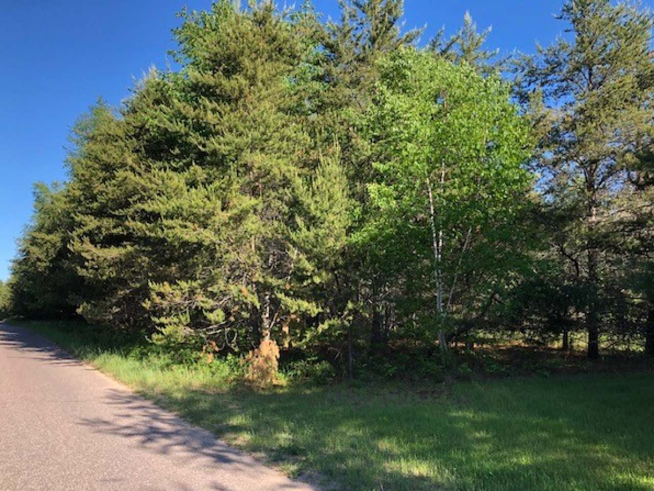 Three Lakes Wi 54562 Road Eagle River, WI 54521 - Photo 2 of 5 Gallery Image 2