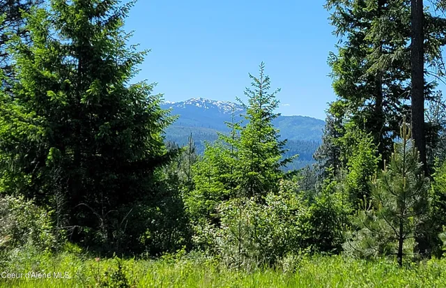 $600,000 | Nna Nna Falcon Ridge Drive, Unit 1, Naples, ID 83847