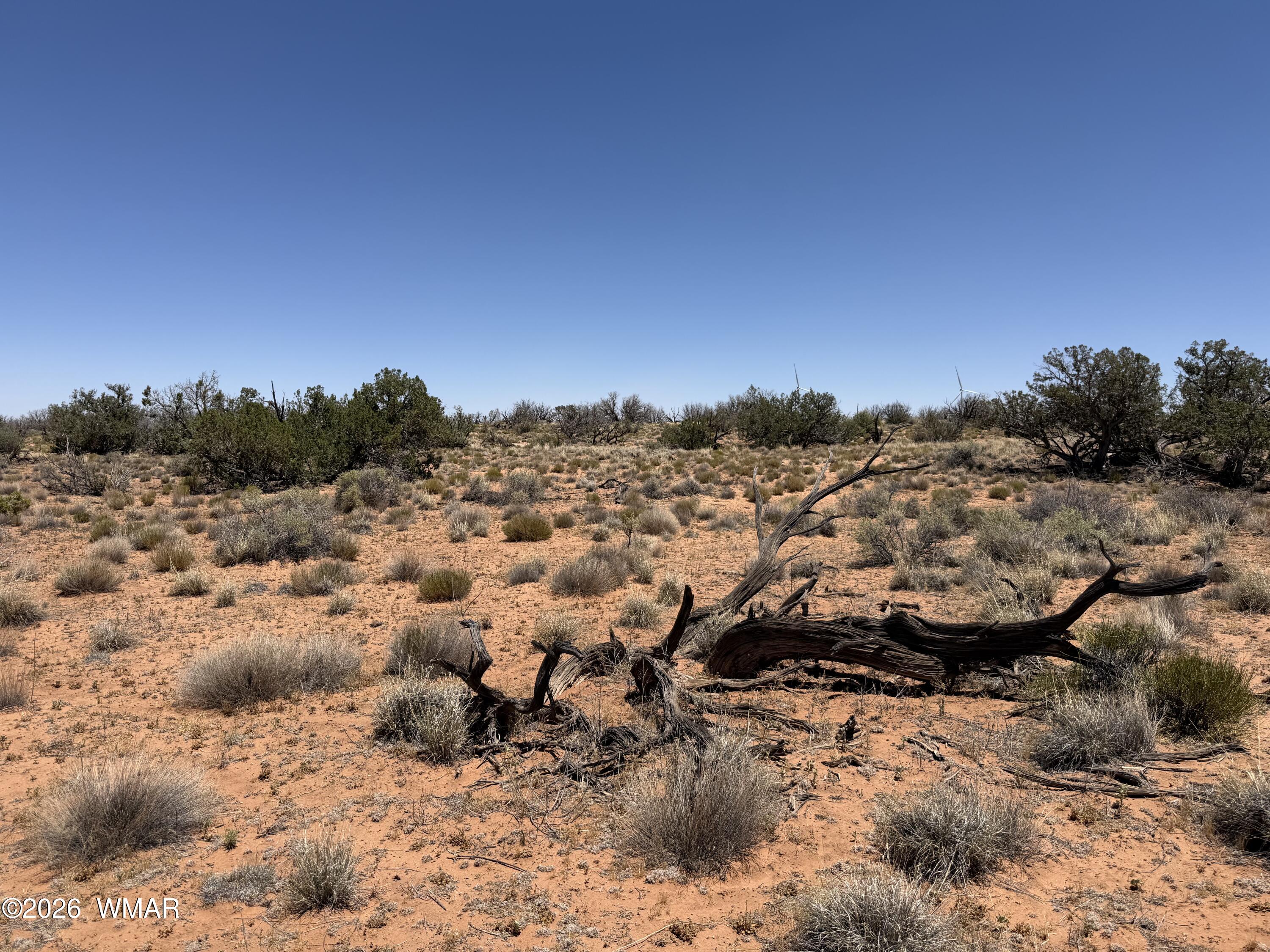 Lot 276 Chev Canyon Ranch, Unit 3 Overgaard, AZ 85933 - Photo 8 of 18
