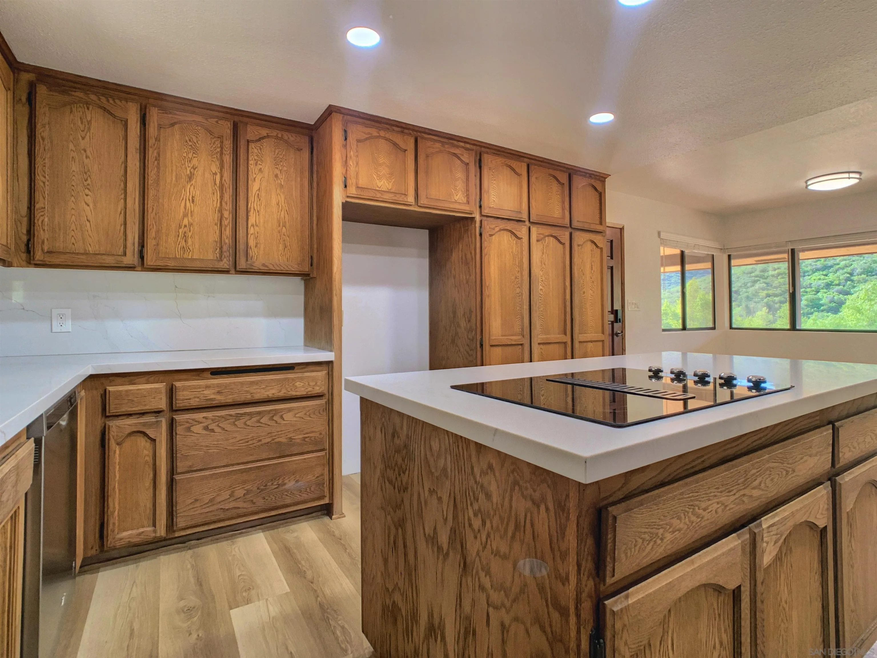 1394 Peutz Valley Road Alpine, CA 91901 - Photo 30 of 75 Expansive oak wood cabinetry, Quartz counters and backsplashes.