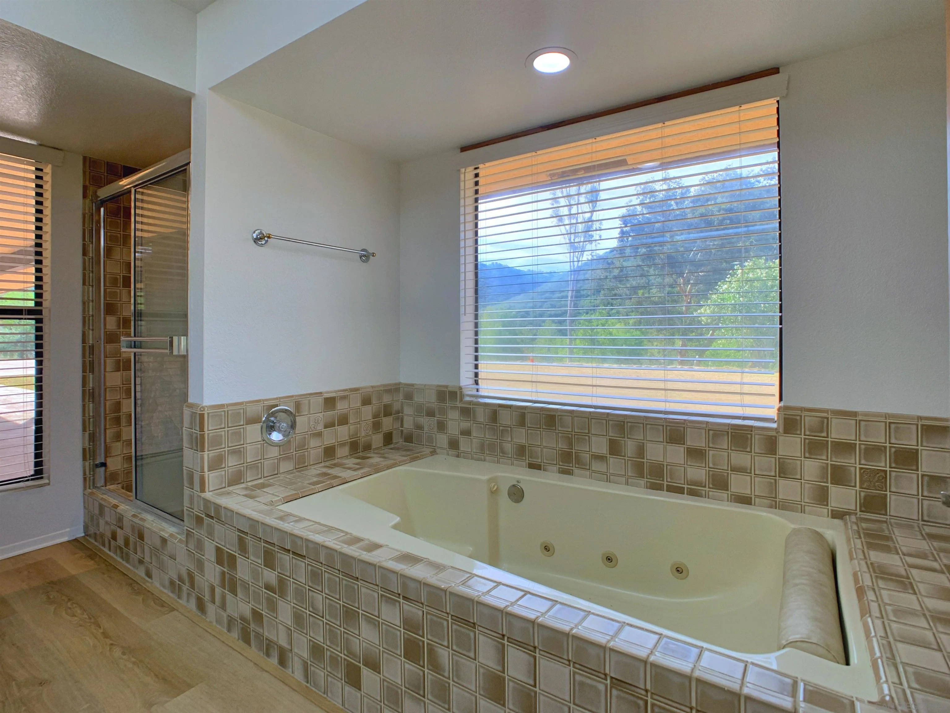 1394 Peutz Valley Road Alpine, CA 91901 - Photo 45 of 75 Primary Bath/Spa