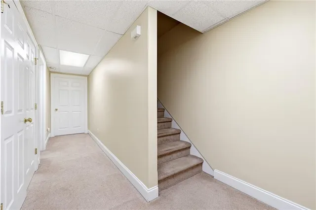 a view of a yard with trees