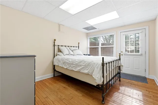 a view of a forest filled with trees