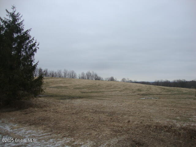 300 Gros Road Stark, NY 13339 - Photo 1 of 7 view