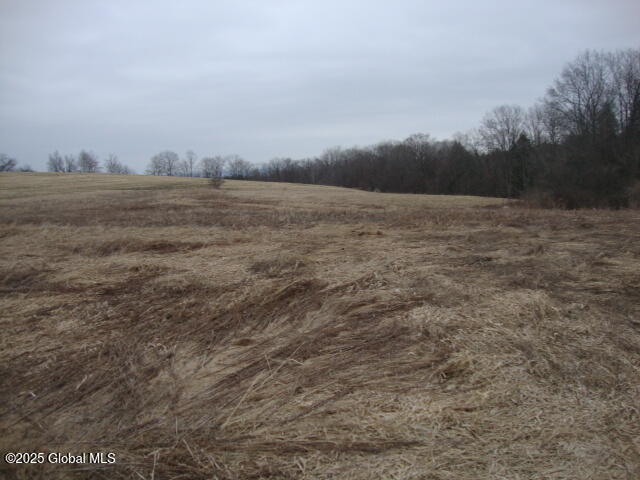 300 Gros Road Stark, NY 13339 - Photo 4 of 7 DSC07604