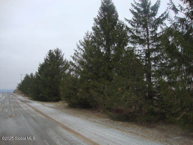 300 Gros Road Stark, NY 13339 - Photo 5 of 7 DSC07595