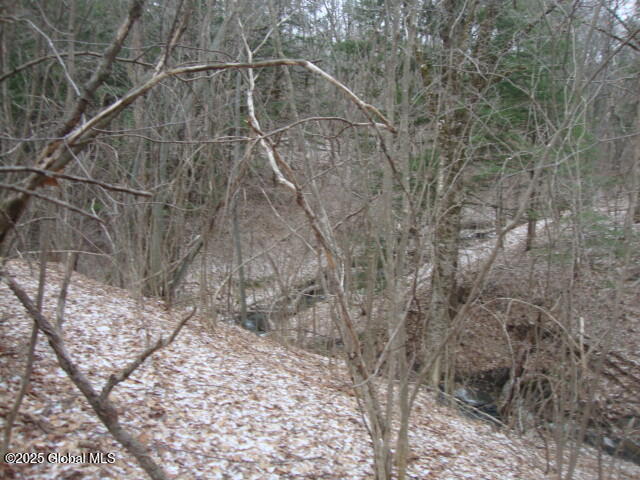 300 Gros Road Stark, NY 13339 - Photo 6 of 7 DSC07605