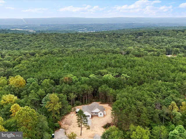 a view of a field with an ocean