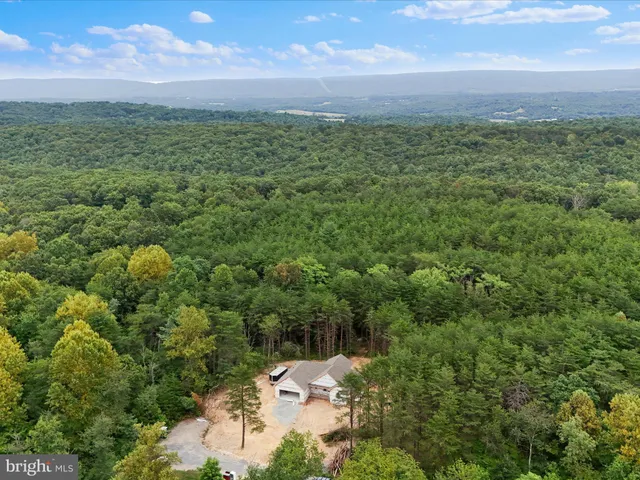 a view of a green field with lots of bushes