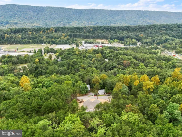 a view of a city with lush green forest