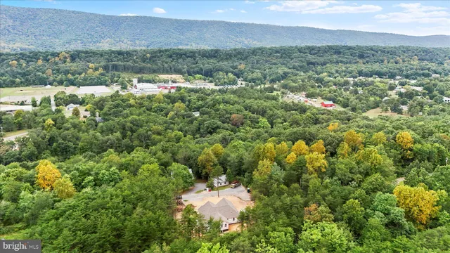 a view of a lake with a city