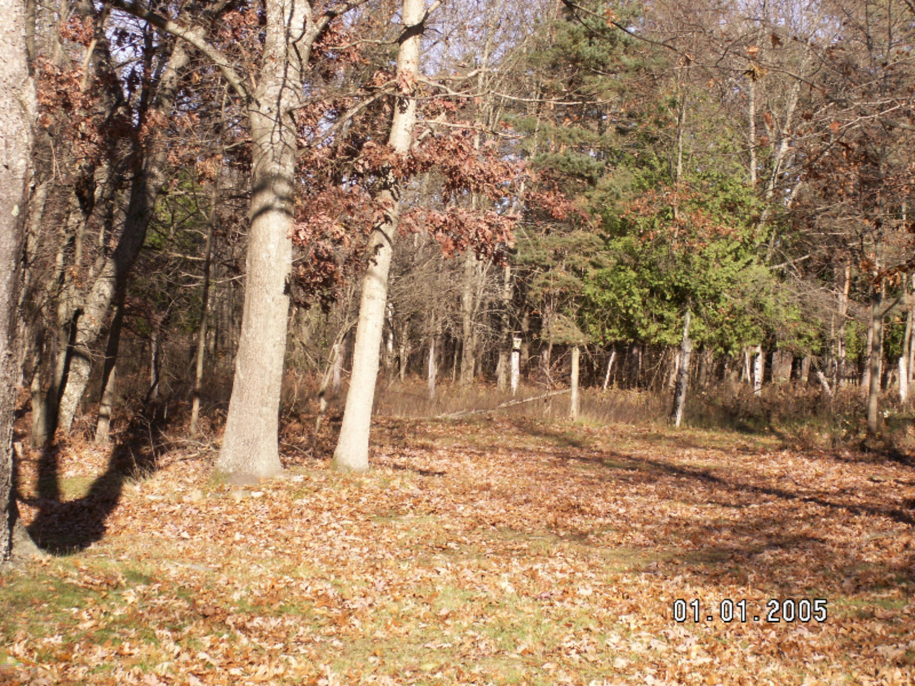 3490 River Road Manistee, MI 49660 - Photo 32 of 34 PICT0296