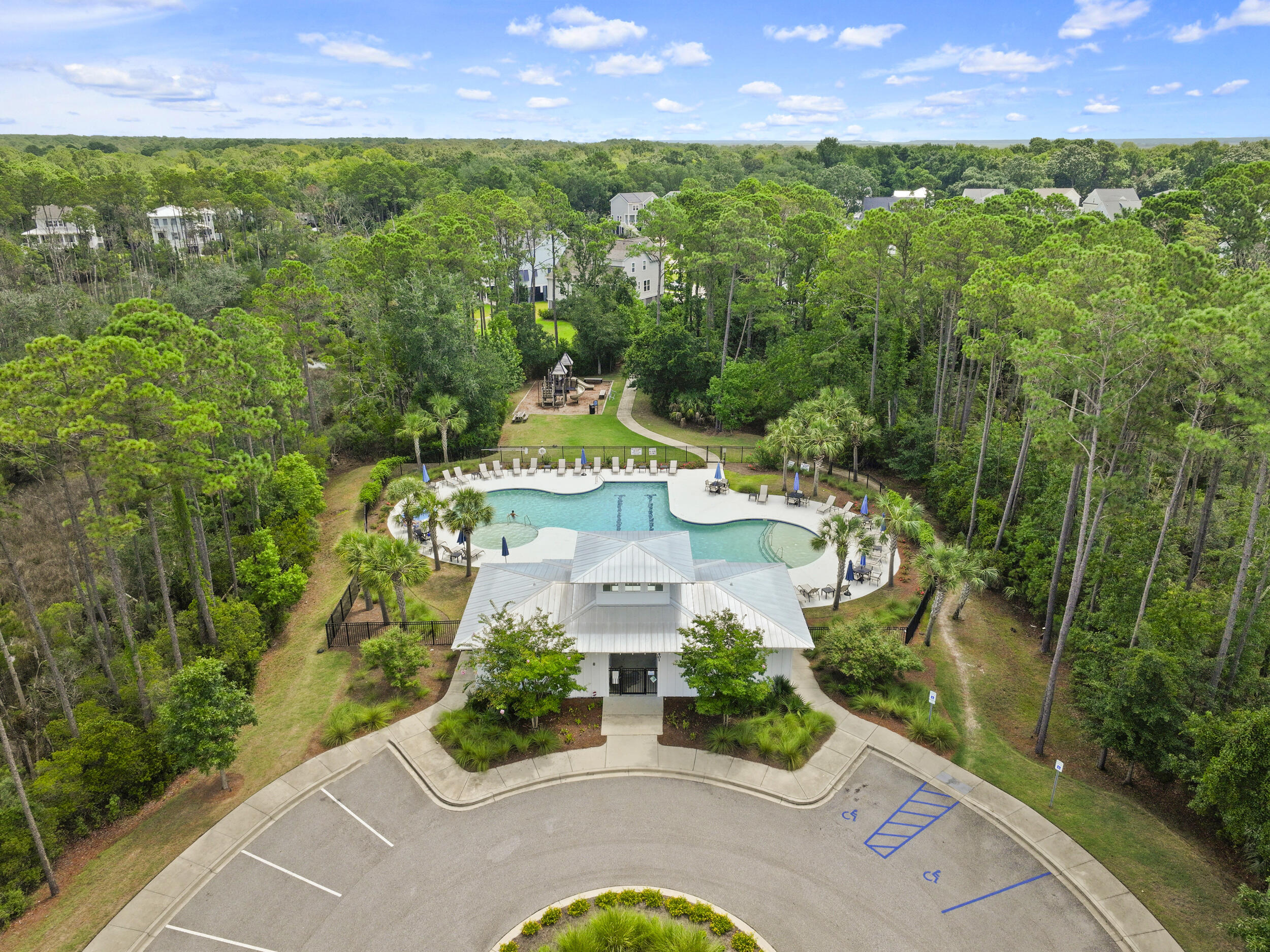 1435 Stratton Place Mount Pleasant, SC 29466 - Photo 54 of 57 Community Pool