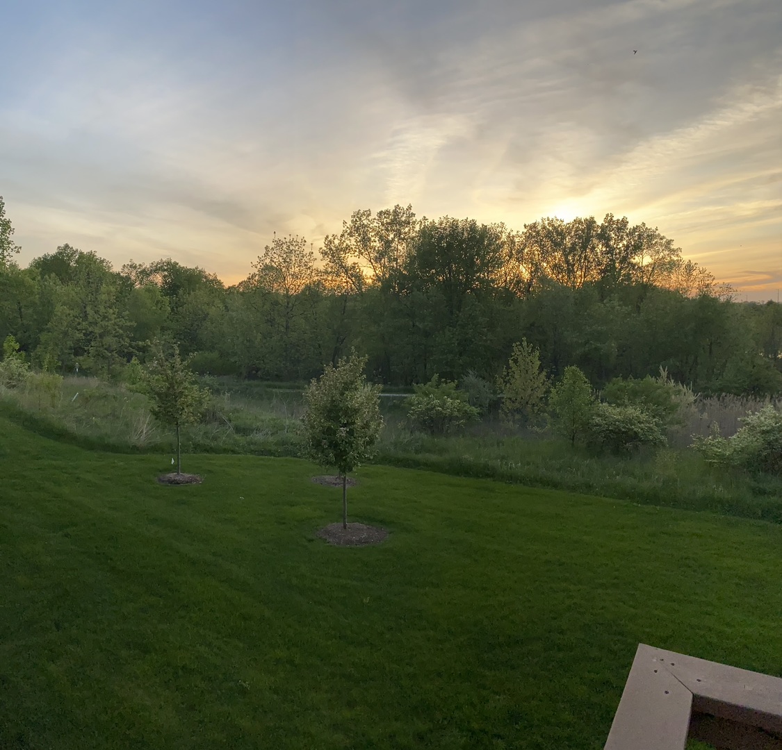 1239 Falcon Ridge Drive Elgin, IL 60124 - Photo 24 of 28 a view of a big yard with potted plants and mountain view