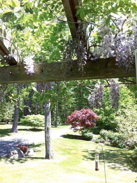 148 Rob Road Brooklin, ME 04616 - Photo 45 of 56 Wisteria