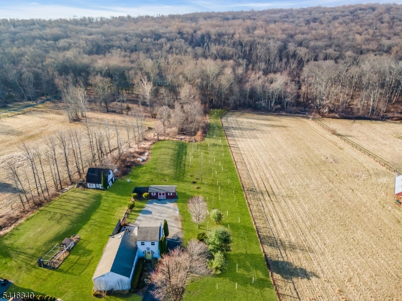 160 Stanton Road Flemington, NJ 08822 - Photo 3 of 28