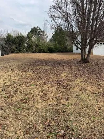 a view of a yard with a tree