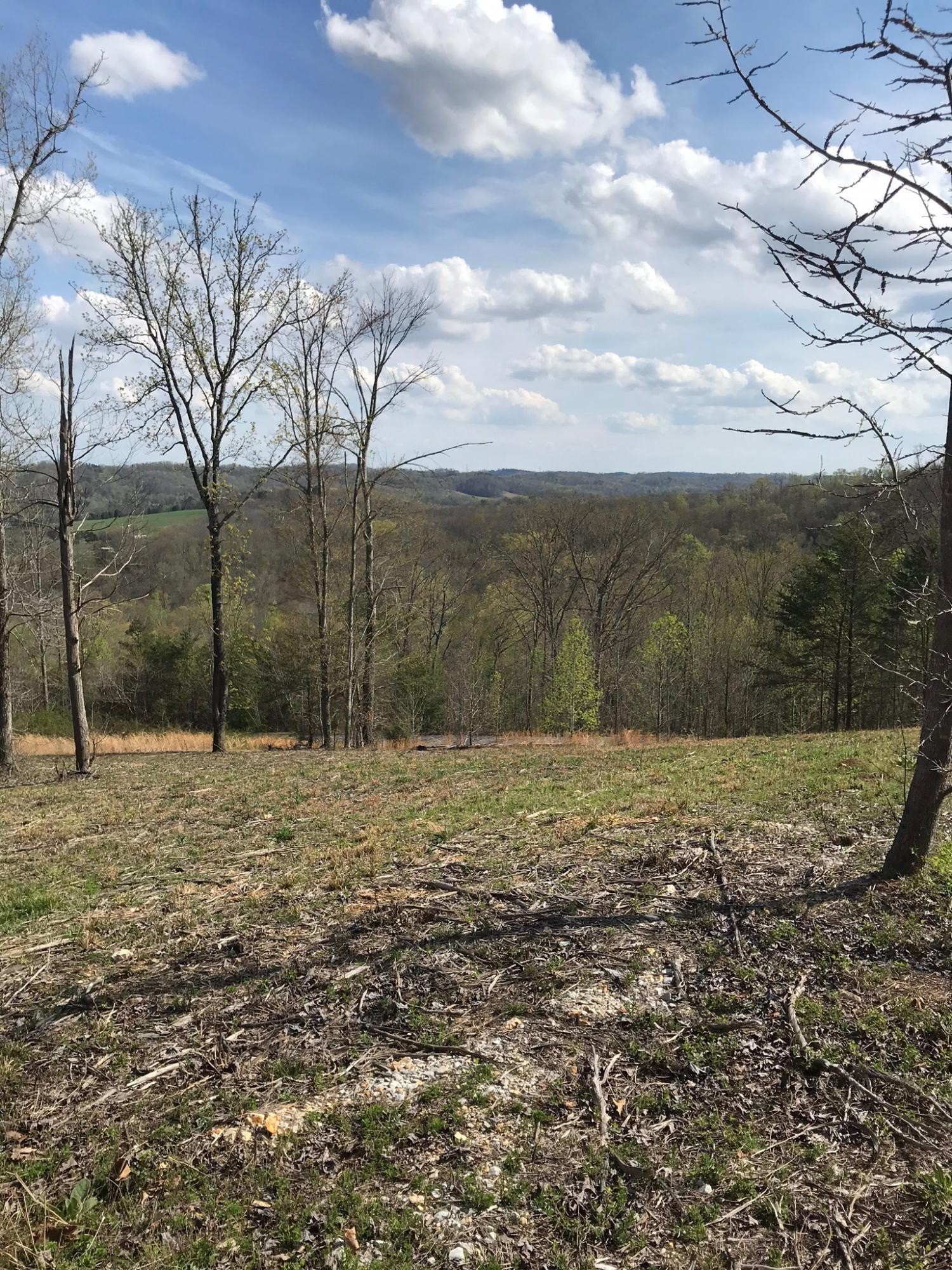 0 Sheerwater Road Kingston, TN 37763 - Photo 11 of 19 Gallery Image 11