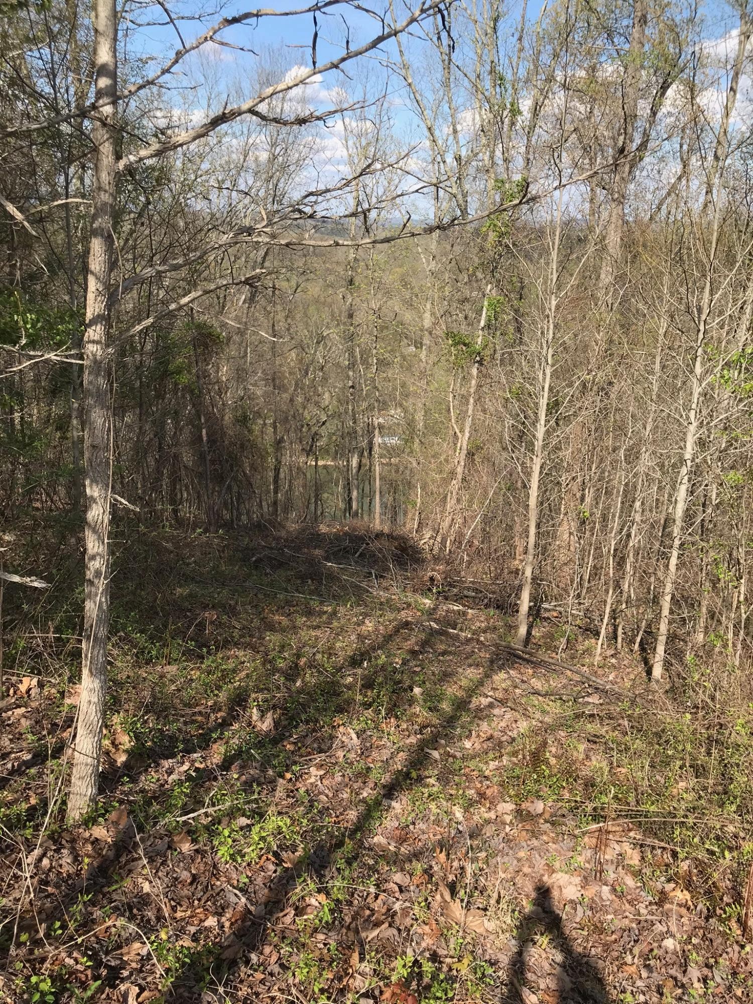 0 Sheerwater Road Kingston, TN 37763 - Photo 12 of 19 Gallery Image 12