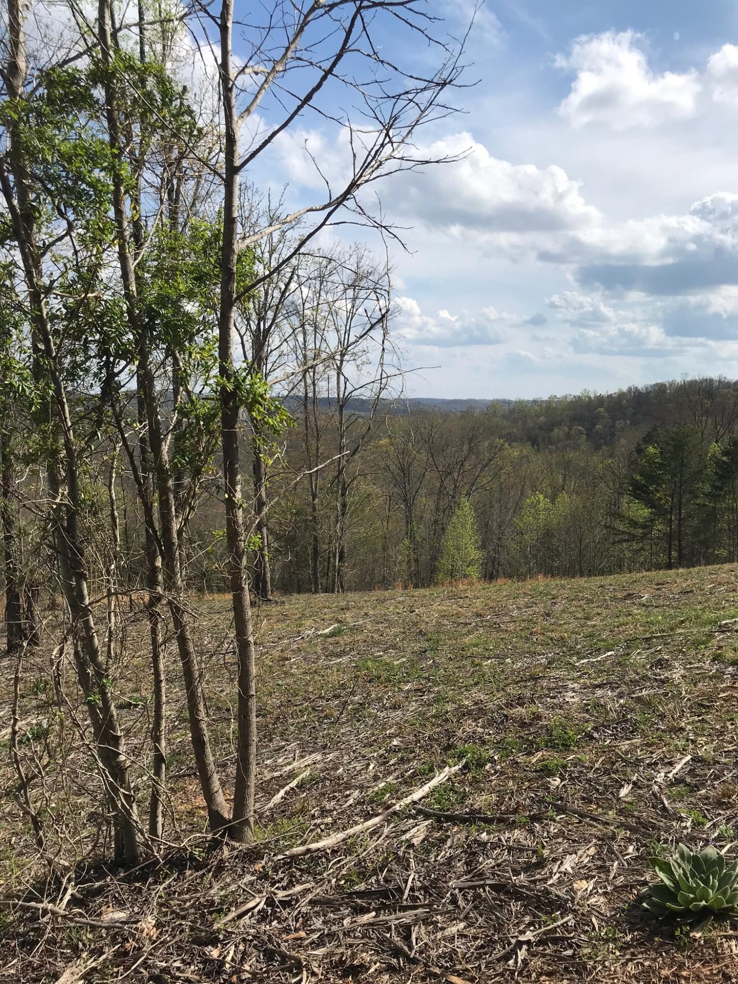 0 Sheerwater Road Kingston, TN 37763 - Photo 13 of 19 Gallery Image 13