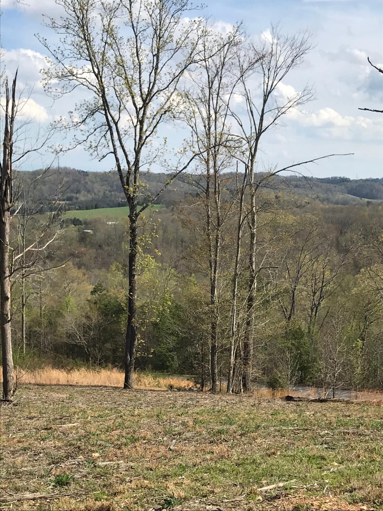 0 Sheerwater Road Kingston, TN 37763 - Photo 15 of 19 Gallery Image 15