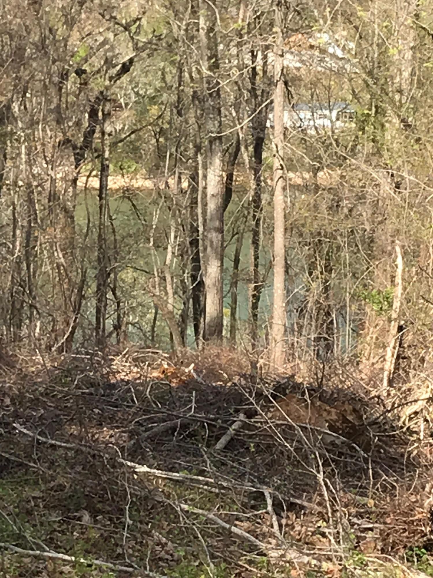 0 Sheerwater Road Kingston, TN 37763 - Photo 16 of 19 Gallery Image 16