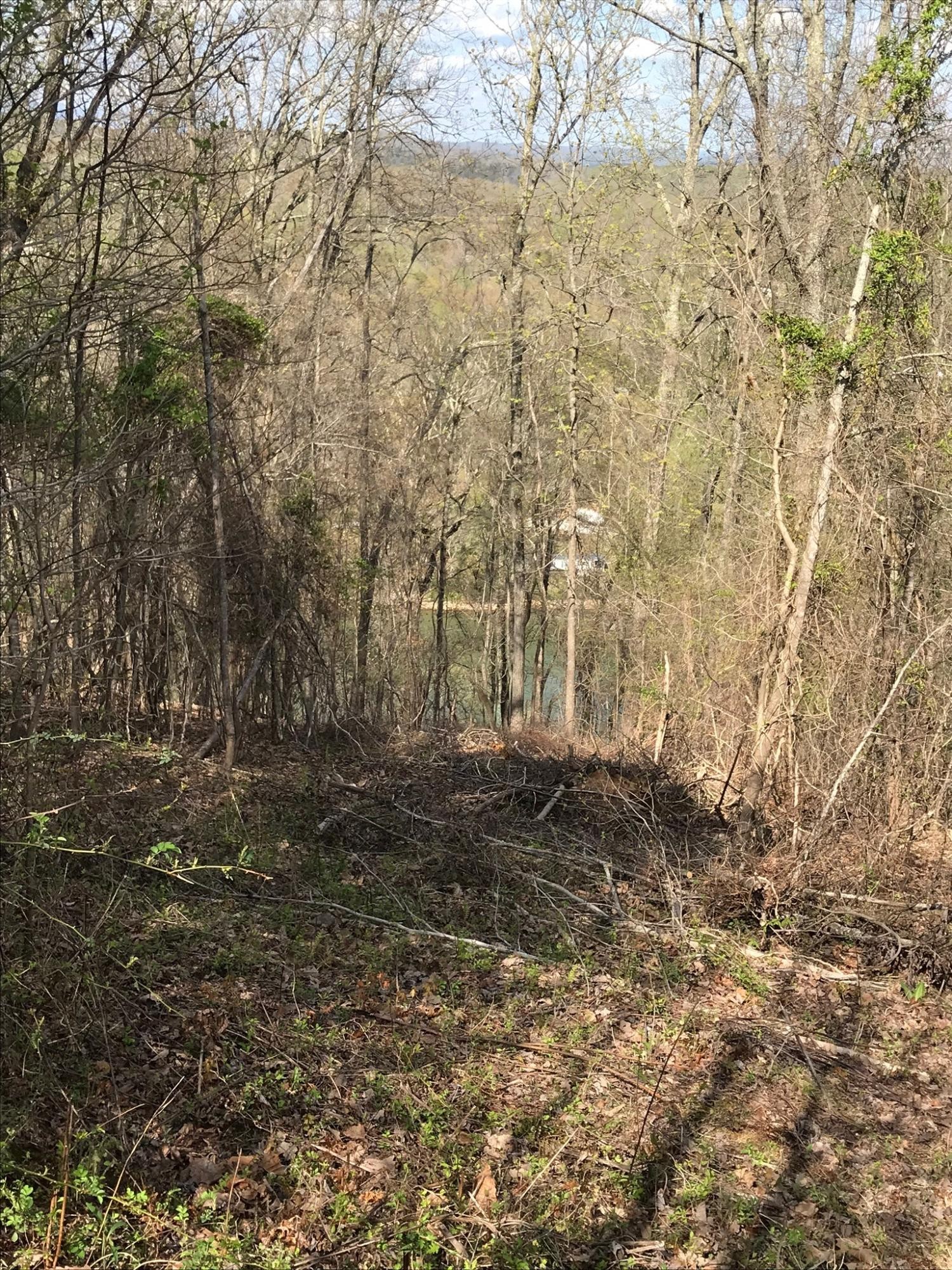 0 Sheerwater Road Kingston, TN 37763 - Photo 17 of 19 Gallery Image 17