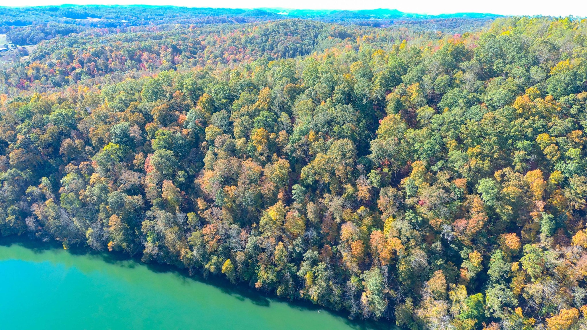 0 Sheerwater Road Kingston, TN 37763 - Photo 4 of 19 Gallery Image 4