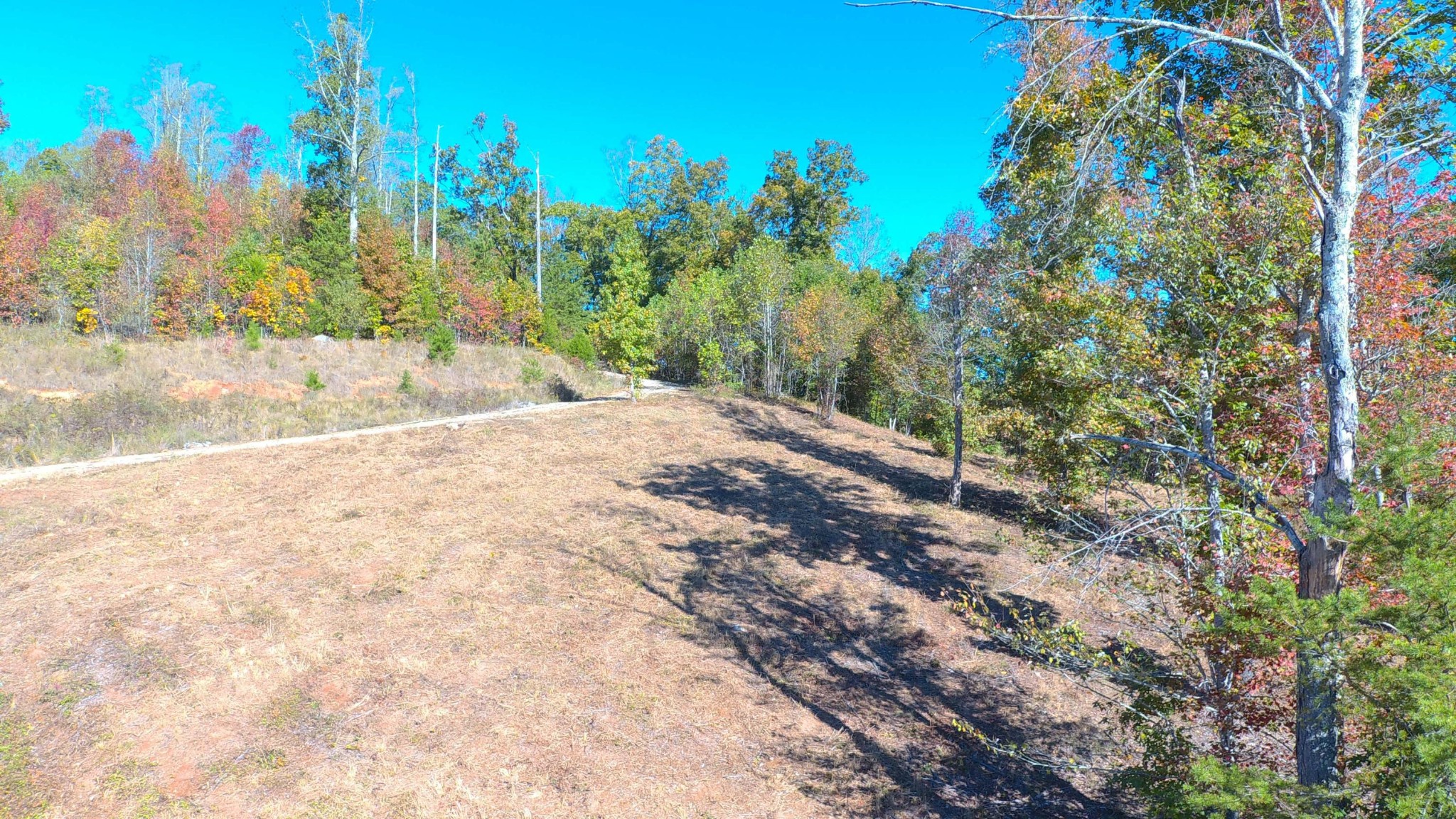 0 Sheerwater Road Kingston, TN 37763 - Photo 7 of 19 Gallery Image 7