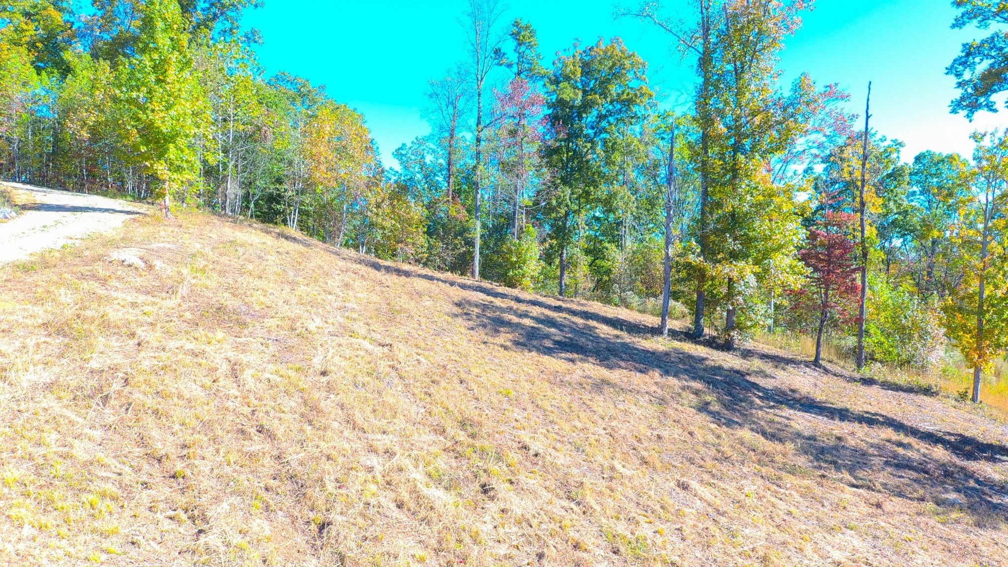 0 Sheerwater Road Kingston, TN 37763 - Photo 8 of 19 Gallery Image 8