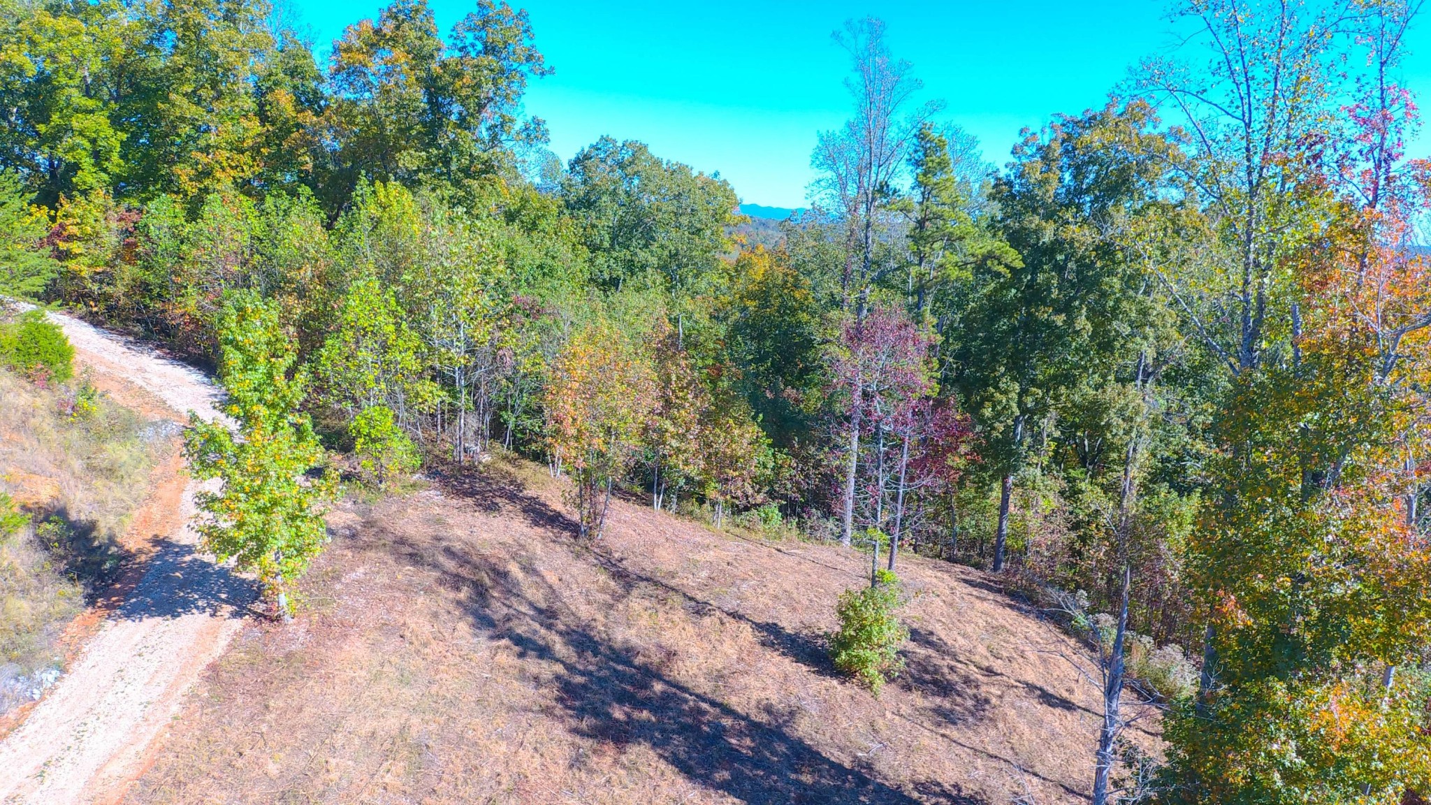 0 Sheerwater Road Kingston, TN 37763 - Photo 9 of 19 Gallery Image 9