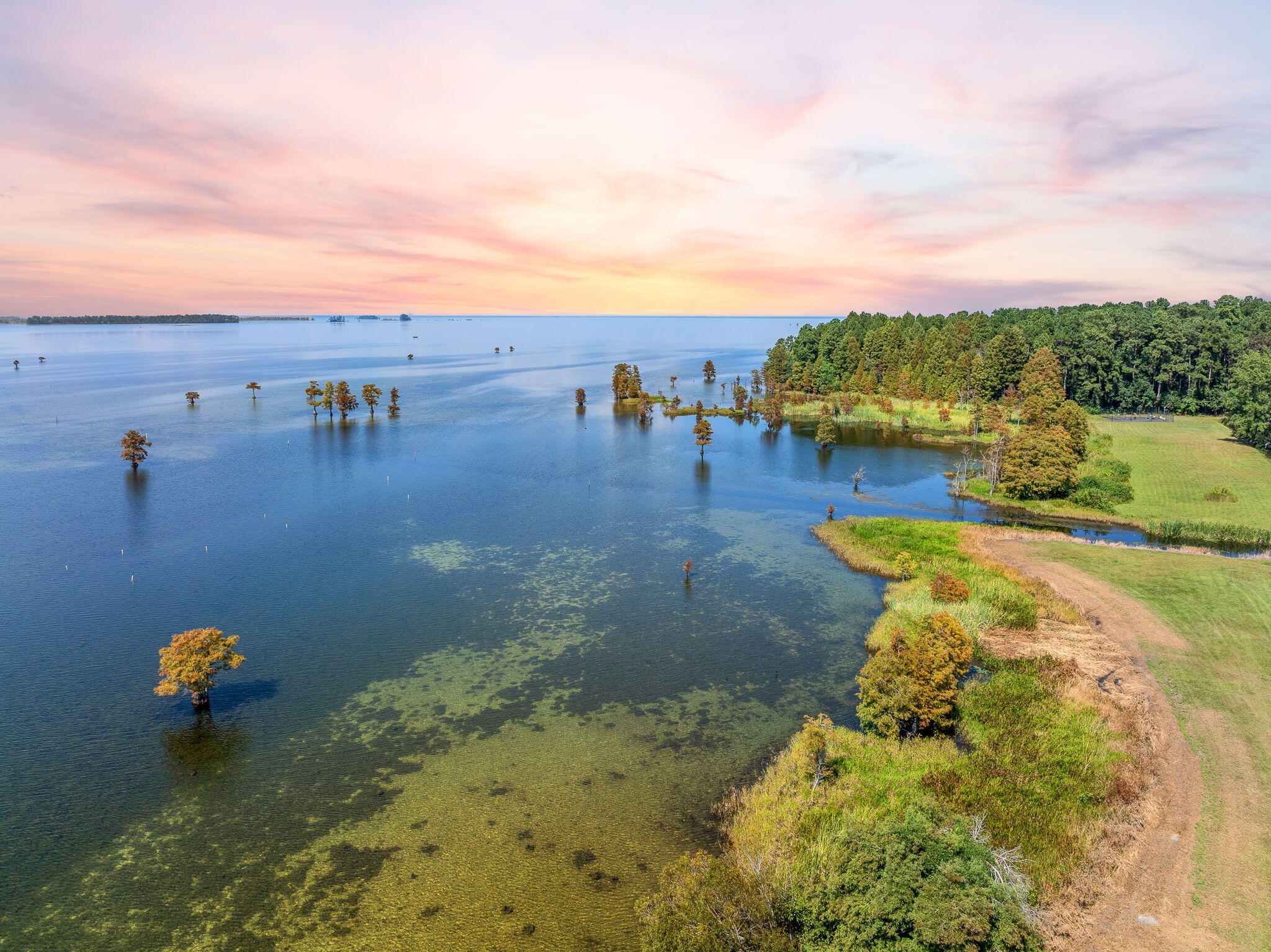 305 Meadowlark Lane Moncks Corner, SC 29461 - Photo 4 of 47 48-web-or-mls-Barclay Media Co_-5