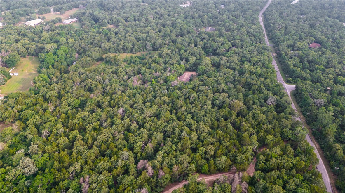 12800 Hunters Creek Road College Station, TX 77845 - Photo 3 of 5 a view of a forest with a houses
