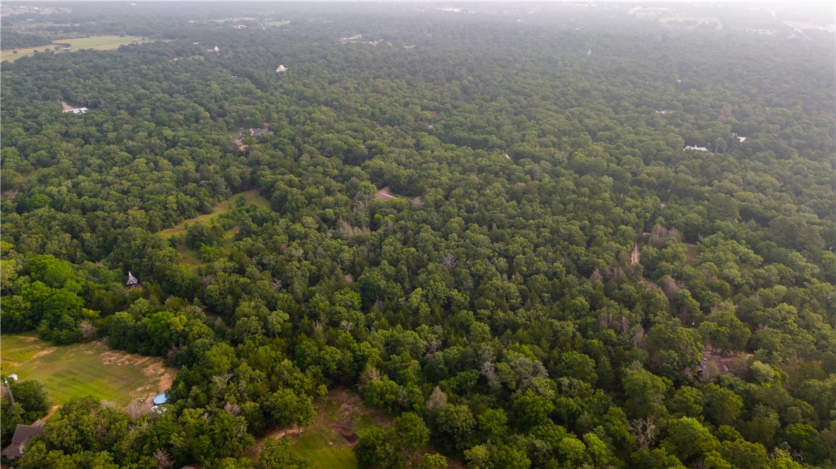 12800 Hunters Creek Road College Station, TX 77845 - Photo 4 of 5 a view of a field of grass and trees