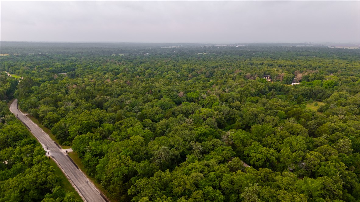 12800 Hunters Creek Road College Station, TX 77845 - Photo 5 of 5 a view of a green field with lots of bushes
