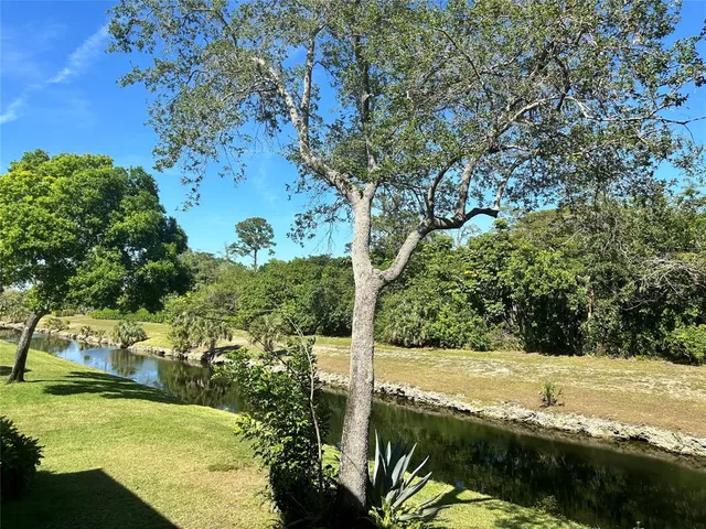 a view of a yard with an outdoor space
