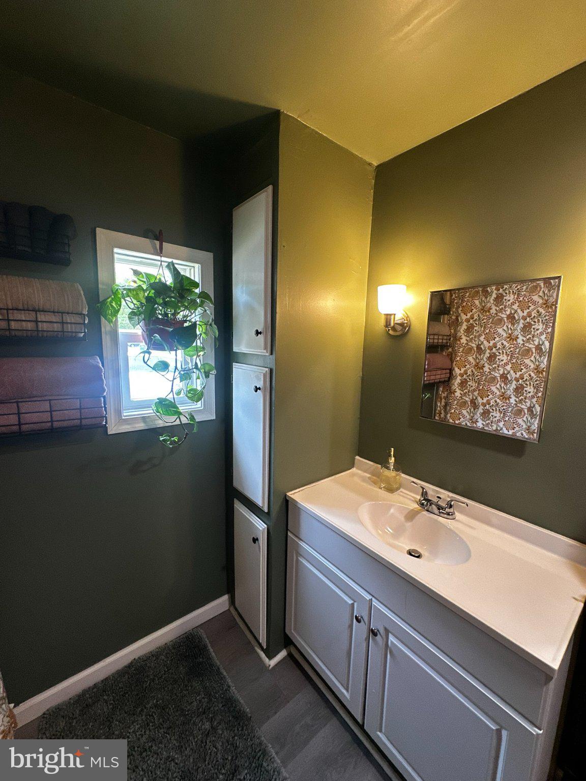 31777 Siham Road Lewes, DE 19958 - Photo 32 of 46 Charming green-hued bathroom retreat.