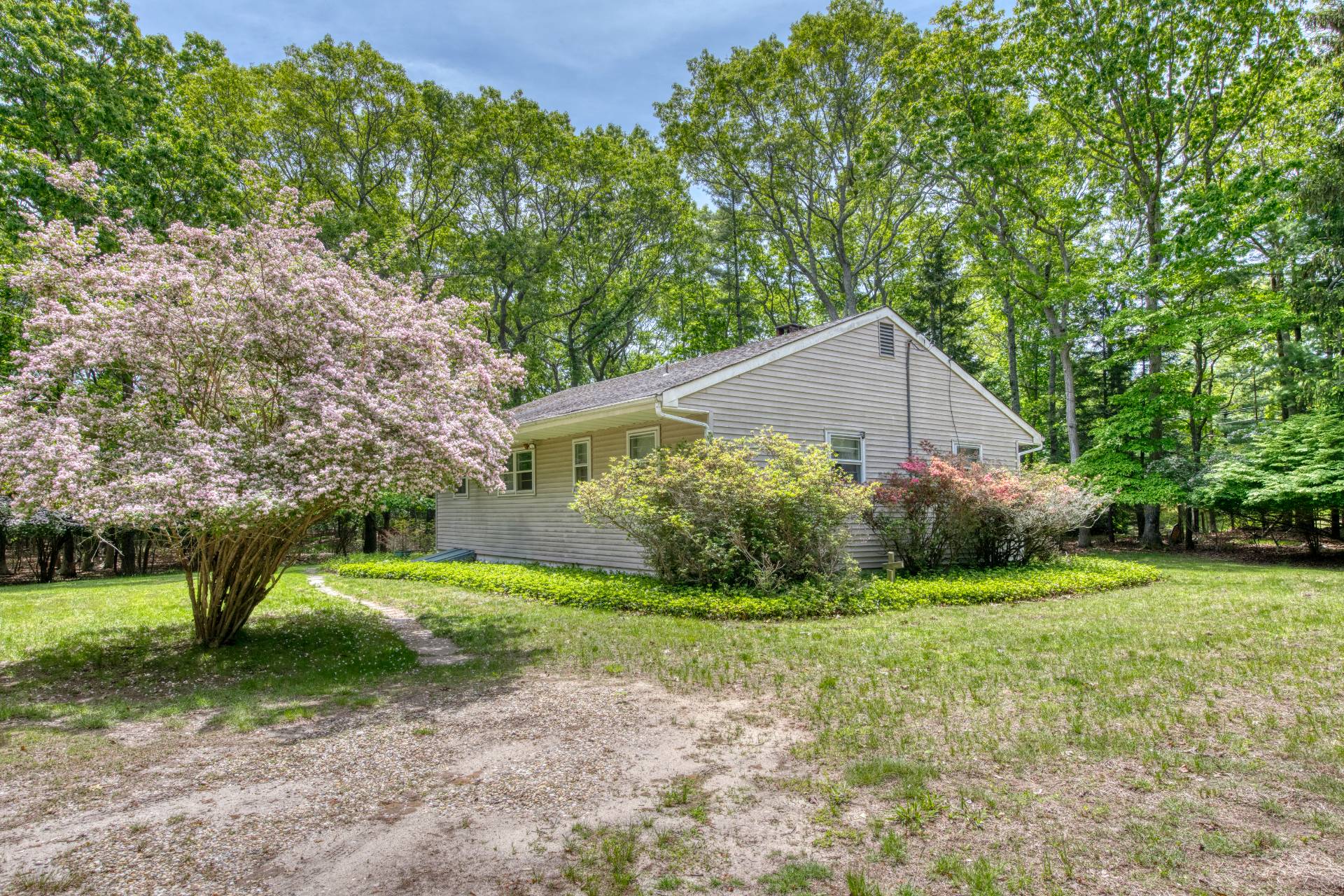 a backyard of a house with plants and large trees