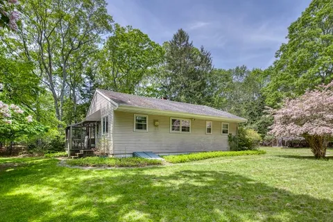 a view of a backyard with plants and large tree